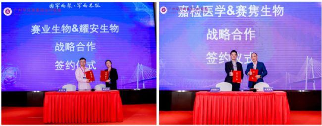 大灣區(qū)罕見病基因治療峰會(huì)