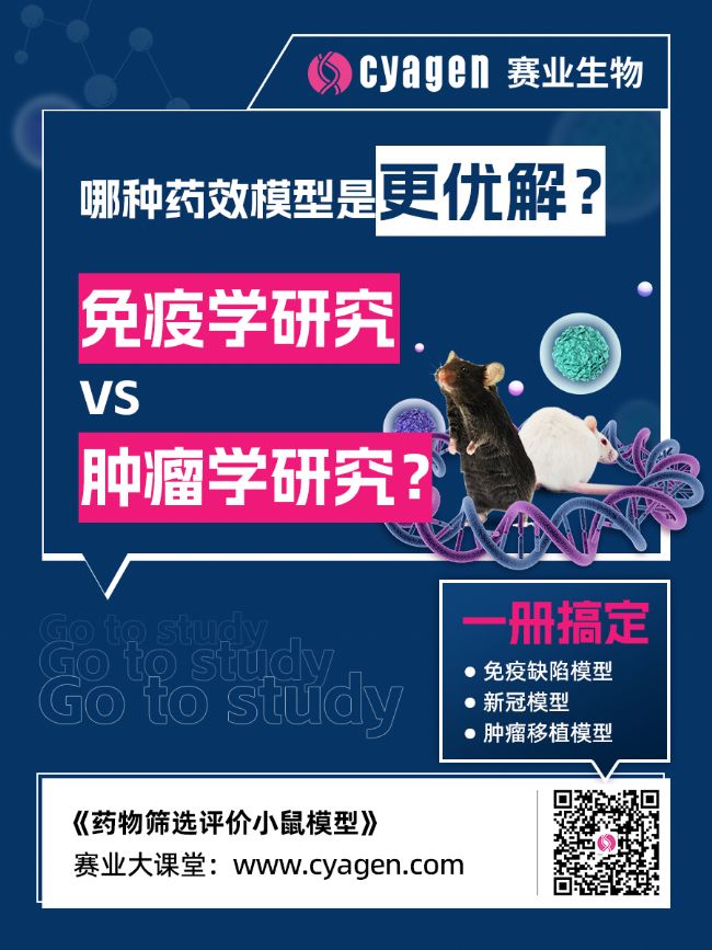 免疫缺陷人源化小鼠