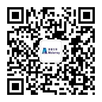 雅睿二維碼.jpg 圖片