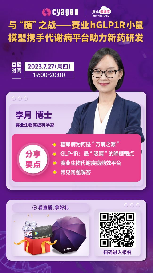 全人源化小鼠模型