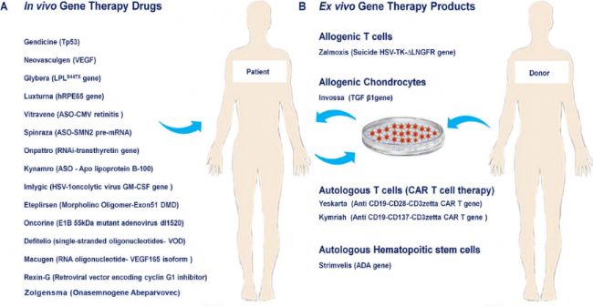 中國新經(jīng)濟發(fā)展報告