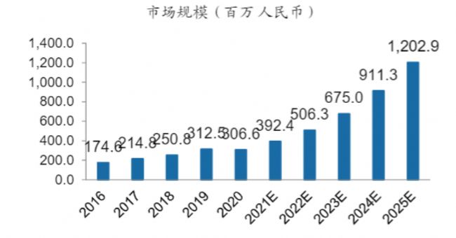 中國新經(jīng)濟發(fā)展報告