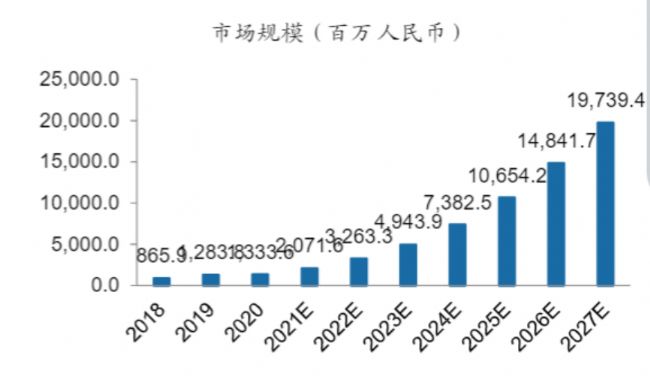 中國新經(jīng)濟發(fā)展報告