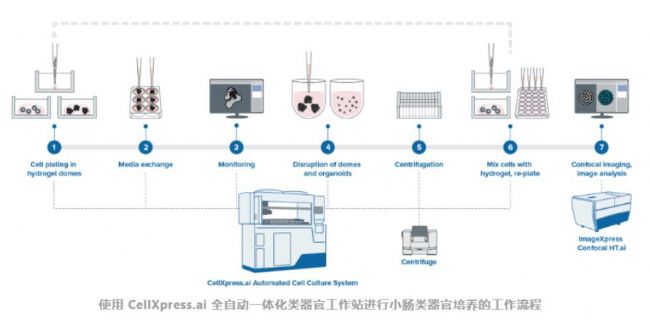 1697104518633202.png 1697104518633202.png