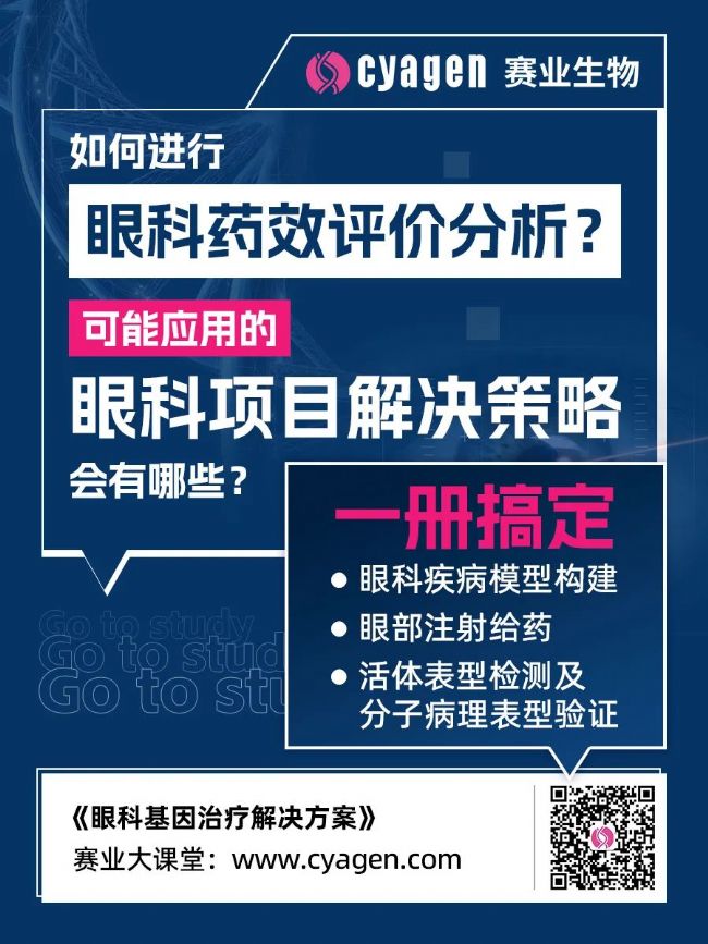 大小鼠視力行為學實驗