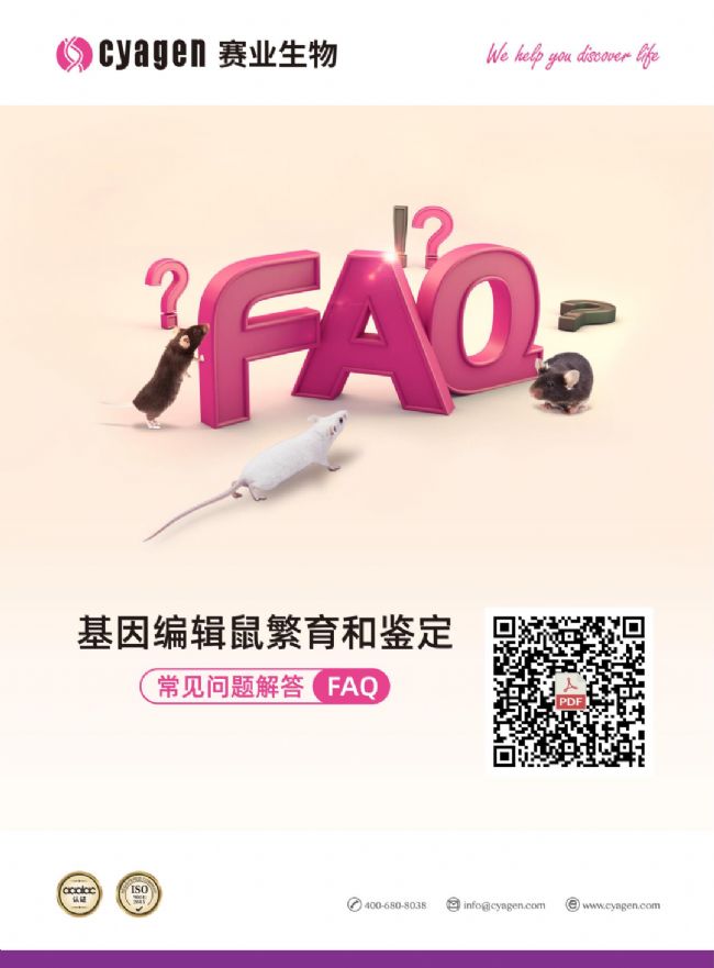 小鼠健康觀察及臨床癥狀剖析