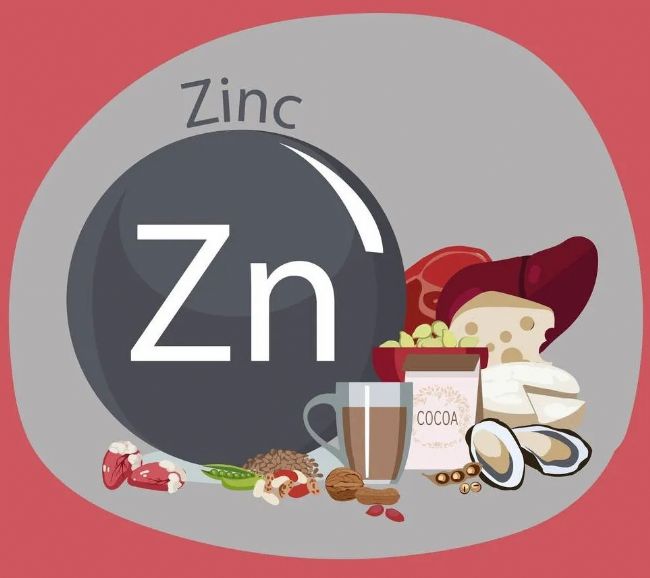 Nature子刊用科學解釋產熱脂肪細胞調控