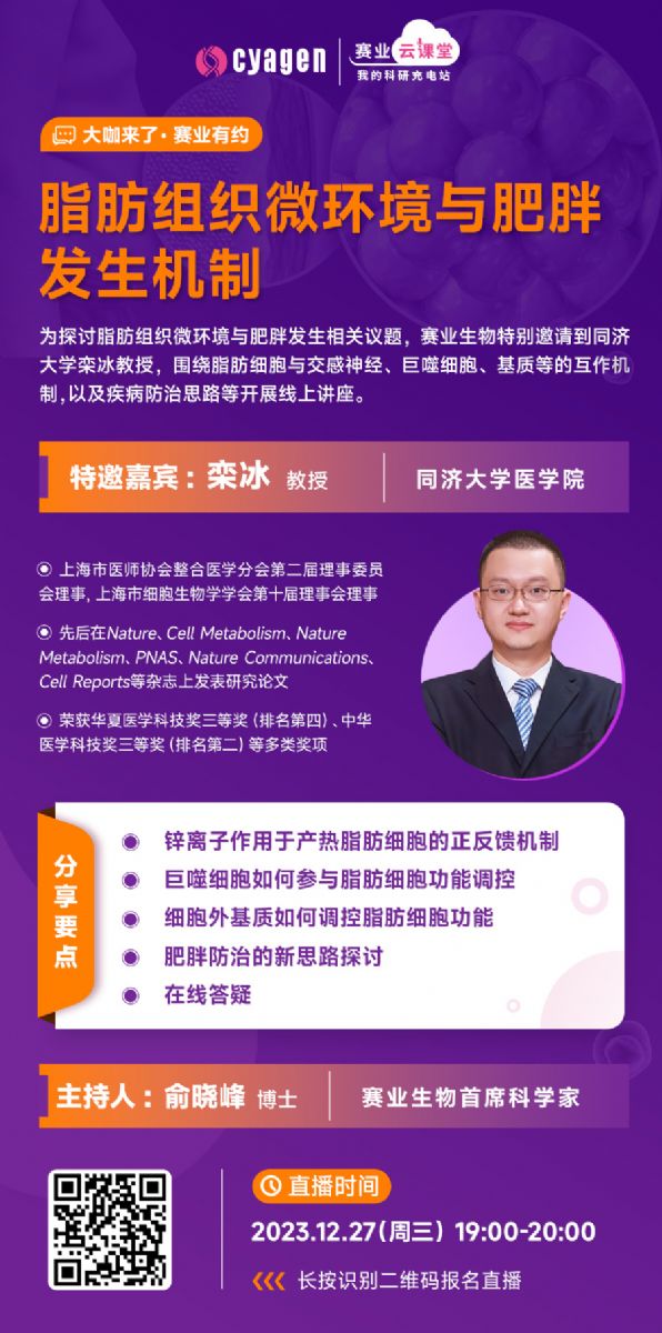 脂肪組織微環境與肥胖發生機制