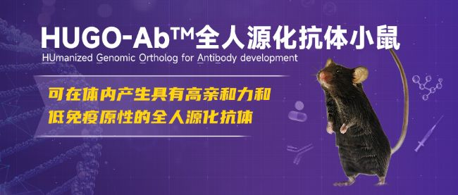 全基因組人源化模型助力罕見病研究