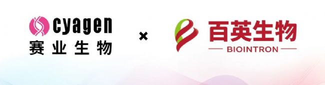近日,賽業(蘇州)生物科技有限公司(簡稱:賽業生物)與上海百英生物科技股份有限公司(簡稱:百英生物)簽署戰略合作協議,此次合作旨在充分發揮賽業生物在以HUGO-Ab™全人源化抗體鼠為特色的抗體發現平臺的服務優勢,結合百英生物在單B細胞抗體發現平臺的優勢,共同推進全人源化抗體鼠和抗體發現項目全球開發與商業化進程,進一步賦能抗體藥物開發和臨床轉化。 賽業生物與百英生物董事長 (左:百英生物董事長查長春,右:賽業生物董事長韓藍青) 在本次簽約儀式中,百英生物董事長查長春、總經理程千文、高級副總裁史雷等代表出席。賽業生物方面,由董事長韓藍青、董事會秘書鐘文杰、研發總監周順、大中華區銷售總監印春陽和抗體發現業務線BD經理王志煜共同見證了這一重要時刻。 賽業生物與百英生物簽署戰略合作協議的主要代表 賽業生物自主開發的HUGO-Ab™全人源化抗體小鼠,能夠在體內產生具有高親和力和低免疫原性的全人源化抗體,其卓越的性能在抗體發現過程中展現出良好的效果,得到多家跨國藥企、生物制藥公司和學術機構的認可,為治療性抗體新藥提供了高效的研發引擎。 百英生物自主開發的單B細胞抗體開發平臺,依托微液滴微流控系統和高效的信號放大技術,實現高通量鑒定分泌特定抗體的漿細胞,可在一天時間里完成1-2×106個漿B細胞的篩選。篩選得到的大量陽性細胞,通過百英生物的單細胞測序平臺,實現一周時間獲得天然配對的抗體序列。這次戰略合作將全面加速全人源化抗體藥物研發的創新步伐。 關于賽業生物 賽業生物成立于2006年,是一家以數據、算法和模型加速新藥研發的創新型CRO企業。賽業生物以動物模型為依托,結合在人工智能的深度探索,在基因編輯動物模型領域走在行業前沿,從現貨模型、模型定制、飼養繁育到表型分析,全方位智能化滿足客戶在基礎研究和新藥研發領域動物模型需求。同時,賽業生物不斷豐富產品線,在臨床前CRO產業,搭建了以腫瘤研究為特色的臨床前藥理藥效CRO服務平臺、以眼科疾病研究為特色的基因治療CRO服務平臺、以全人源化抗體鼠為特色的抗體發現平臺等,在賽道轉換中再次騰飛。 賽業生物目前員工人數超900名,總規模超40,000平方米,在中國廣州、蘇州、固安設立有全資子公司,在成都、北京、上海、武漢、長沙等地設有辦事處,在美國Santa Clara和日本東京設有子公司。賽業生物已和全球100多個國家和地區的科學家及企事業單位建立了廣泛的合作,產品與技術已直接應用于包括CNS(Cell, Nature, Science)三大期刊在內的1萬余篇學術論文。秉承著為生物科技創造無限可能的企業愿景,賽業生物愿與全球醫藥研發人員共拓美好未來! 關于百英生物 百英生物(Biointron)成立于2012年,是一家專注于抗體表達和抗體發現與優化CRO服務的國家高新技術企業、國家專精特新小巨人企業。 百英生物的抗體表達服務在基因、細胞和工藝層面建立了技術優勢,并實現了標準化、自動化和信息化,服務質量獲得了跨國制藥企業的認可,服務了境內外超過20多個國家和地區的近1,500家醫藥企業客戶。 公司依托優異的抗體表達能力,為抗體發現和優化業務賦能,打造抗體發現一站式服務。包括納米抗體開發服務、單B細胞抗體篩選服務、抗體人源化服務、抗體親和力成熟服務、穩定細胞株開發與授權服務等。