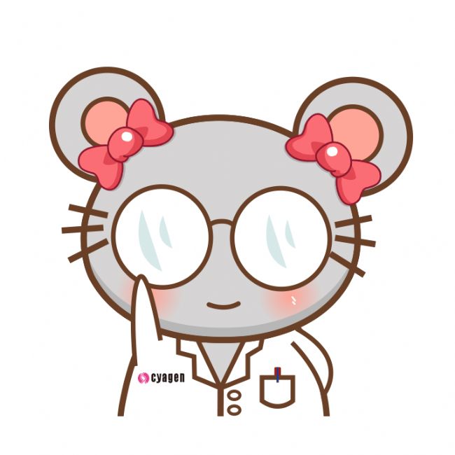 神經系統疾病的研究進展及常用動物模型