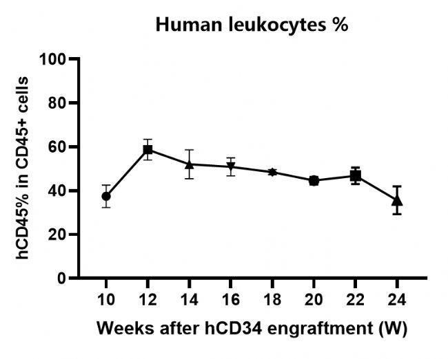 新一代的全免疫系統(tǒng)重建小鼠