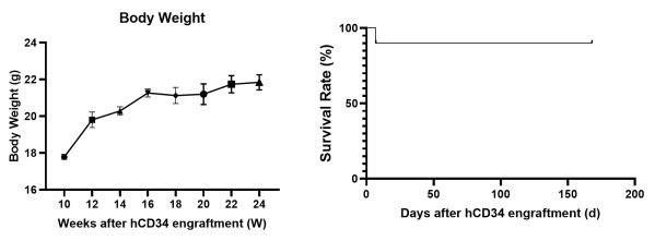 新一代的全免疫系統(tǒng)重建小鼠