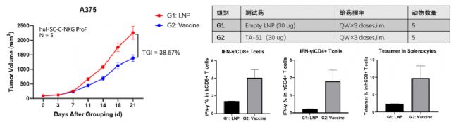 新一代的全免疫系統(tǒng)重建小鼠