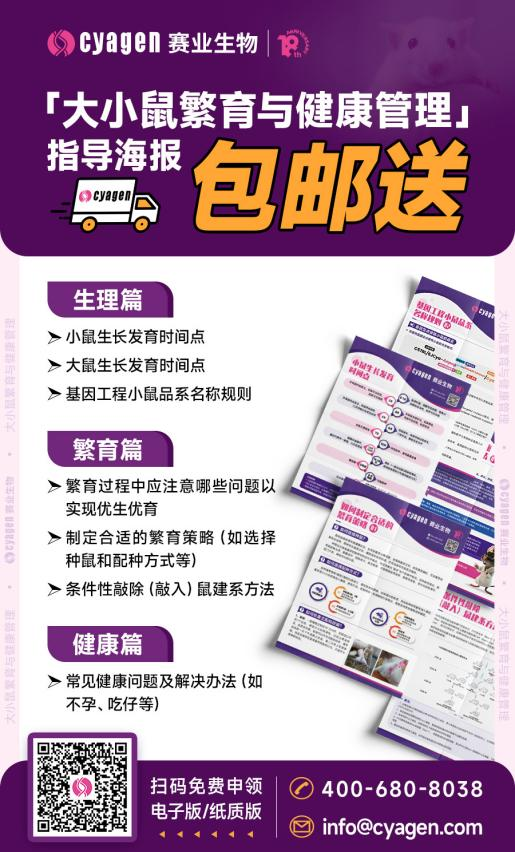 新一代ES基因編輯小鼠構(gòu)建技術(shù)及應(yīng)用