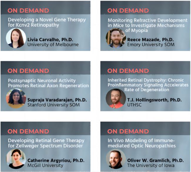 W(wng)ebniarеܣgͰĺĬYģСҕX