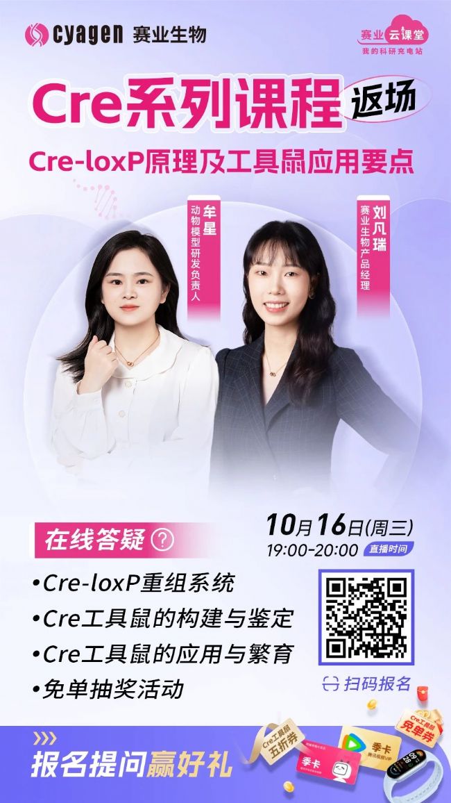 Cre-loxP原理及工具鼠應(yīng)用要點