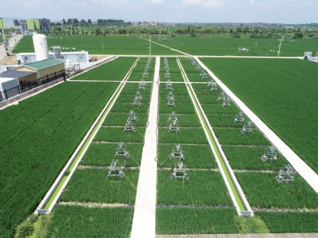 LICA國產土壤呼吸,助力碳監測——土壤溫室氣體通量測量系統的應用與實踐