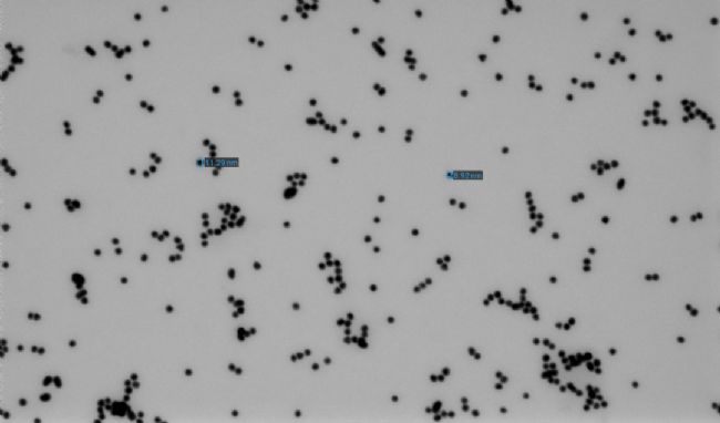 臺式掃描透射電子顯微鏡