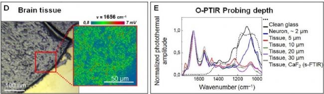 _ؐ볬ڿƼ늘O(zhn)ֲcLЧ(wn)