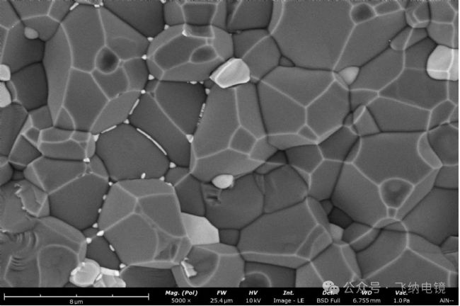 飛納電鏡背散射電子像