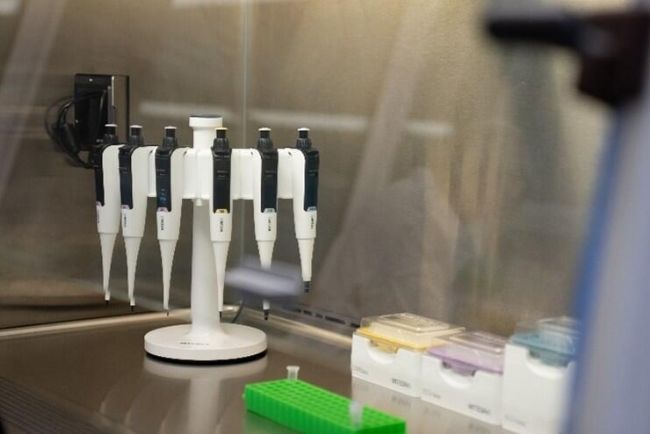 ڳ_еFlex֧ϴ6֧SWITCHҺ